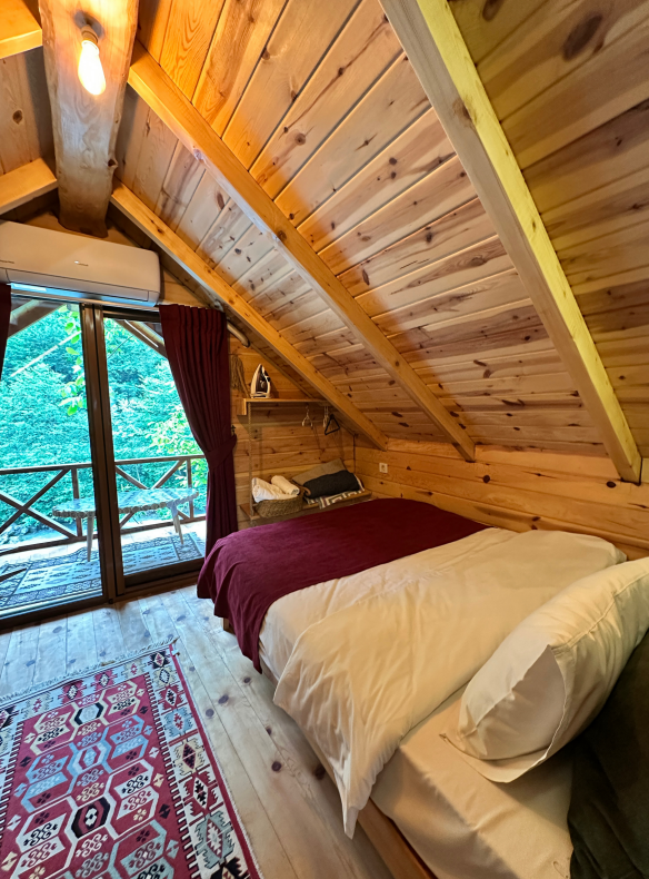 kucuck ev 10